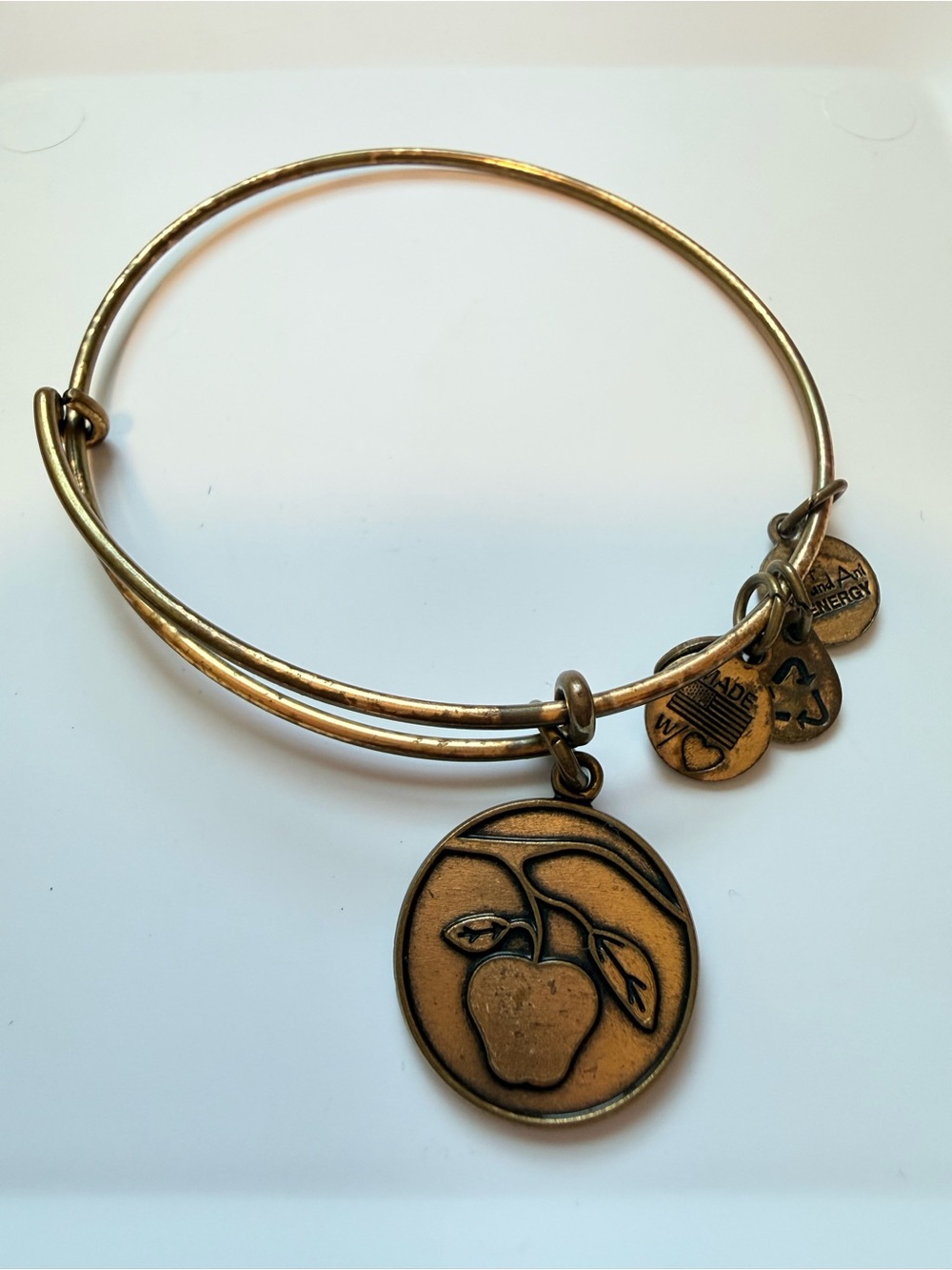 Alex and Ani Bangle